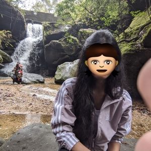 Adidas superstar jacket